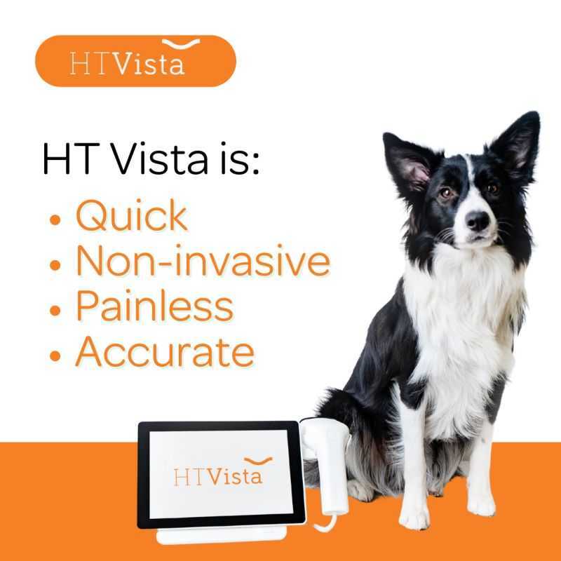Image of HT Vista a border collie with text: HT Vista is quick, non-invasive, painless, accurate.